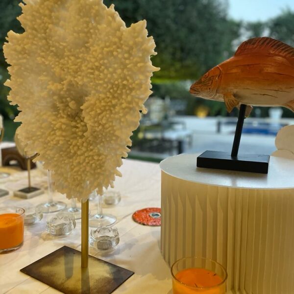 ستاند من الورق منخفض - Image 5