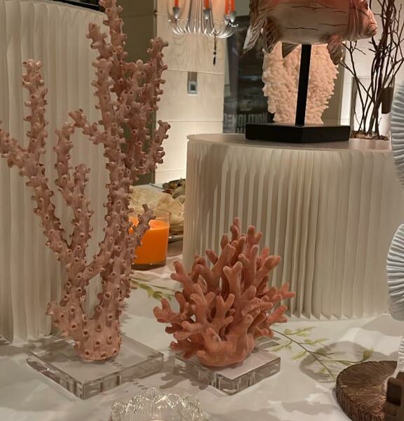 ستاند من الورق منخفض - Image 4