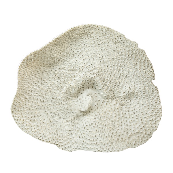 Decor,wall,coral,resin,