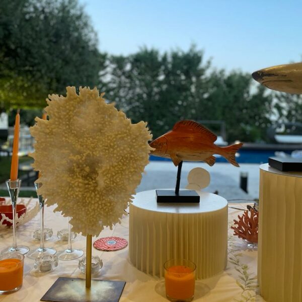 ستاند من الورق منخفض - Image 7