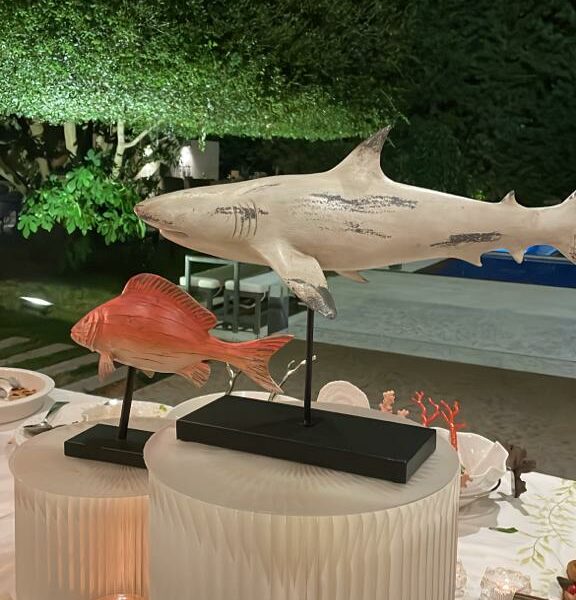 ستاند من الورق منخفض - Image 8