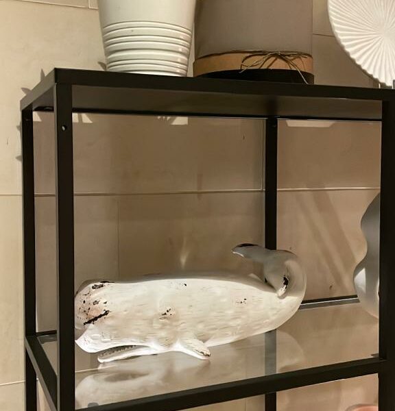 ديكور حائط بشكل دولار رملي حجم كبير - Image 2